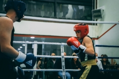 MDBoxing _050 MDBoxing _050